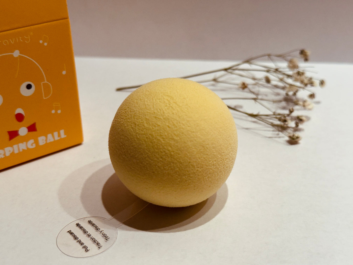 Interactive chirping ball for pets