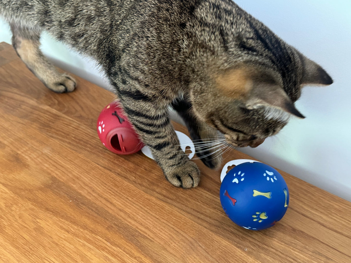 Food spilling ball for pets