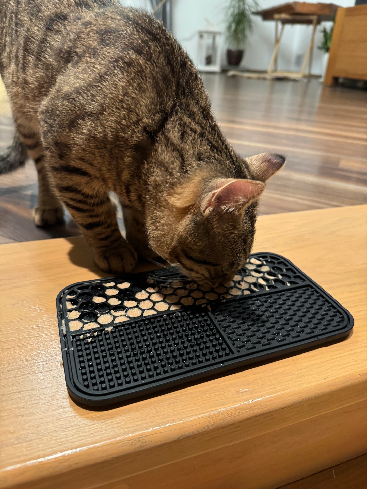 Slow feeder - cat licking mat