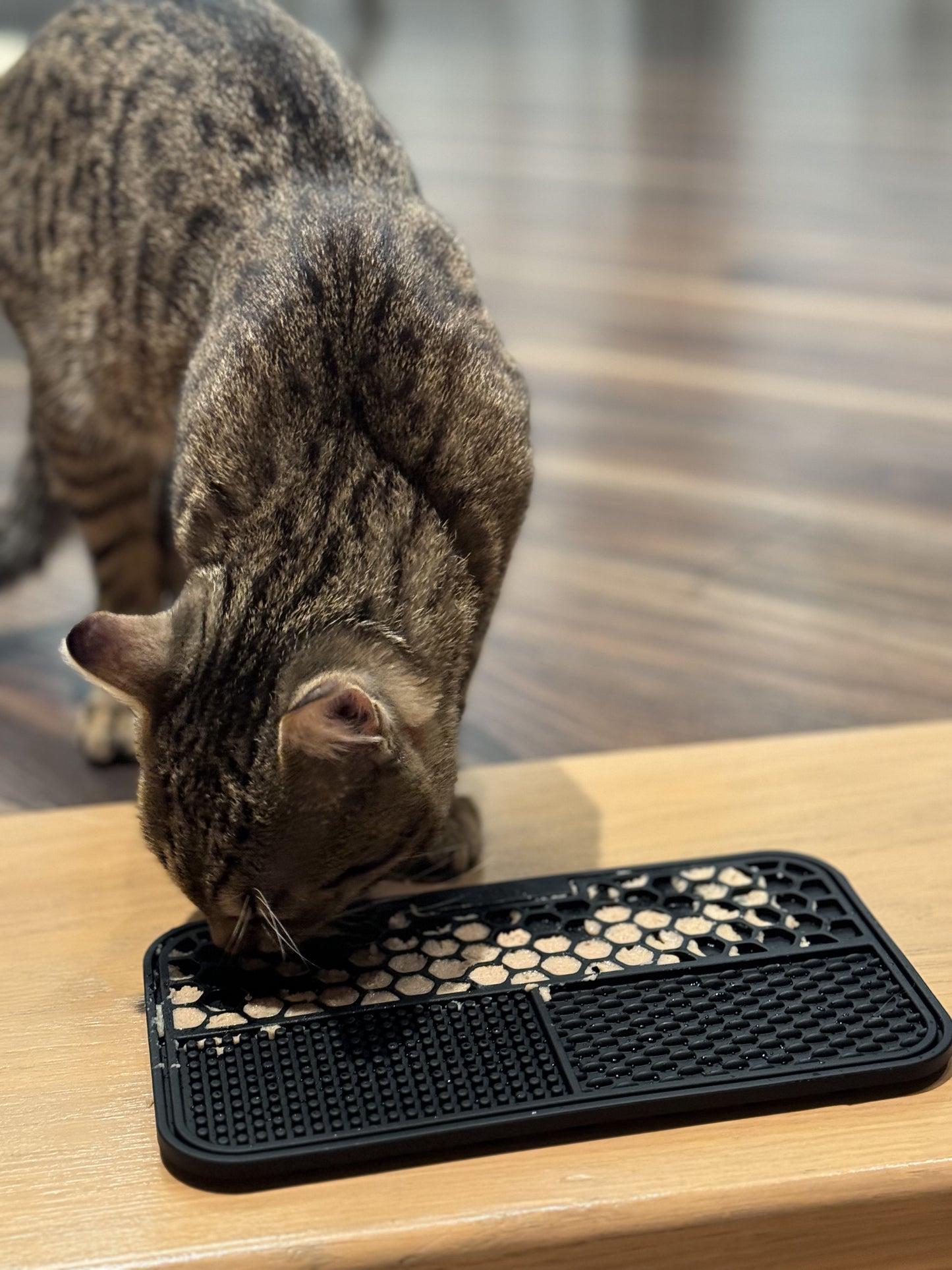 Slow feeder - cat licking mat