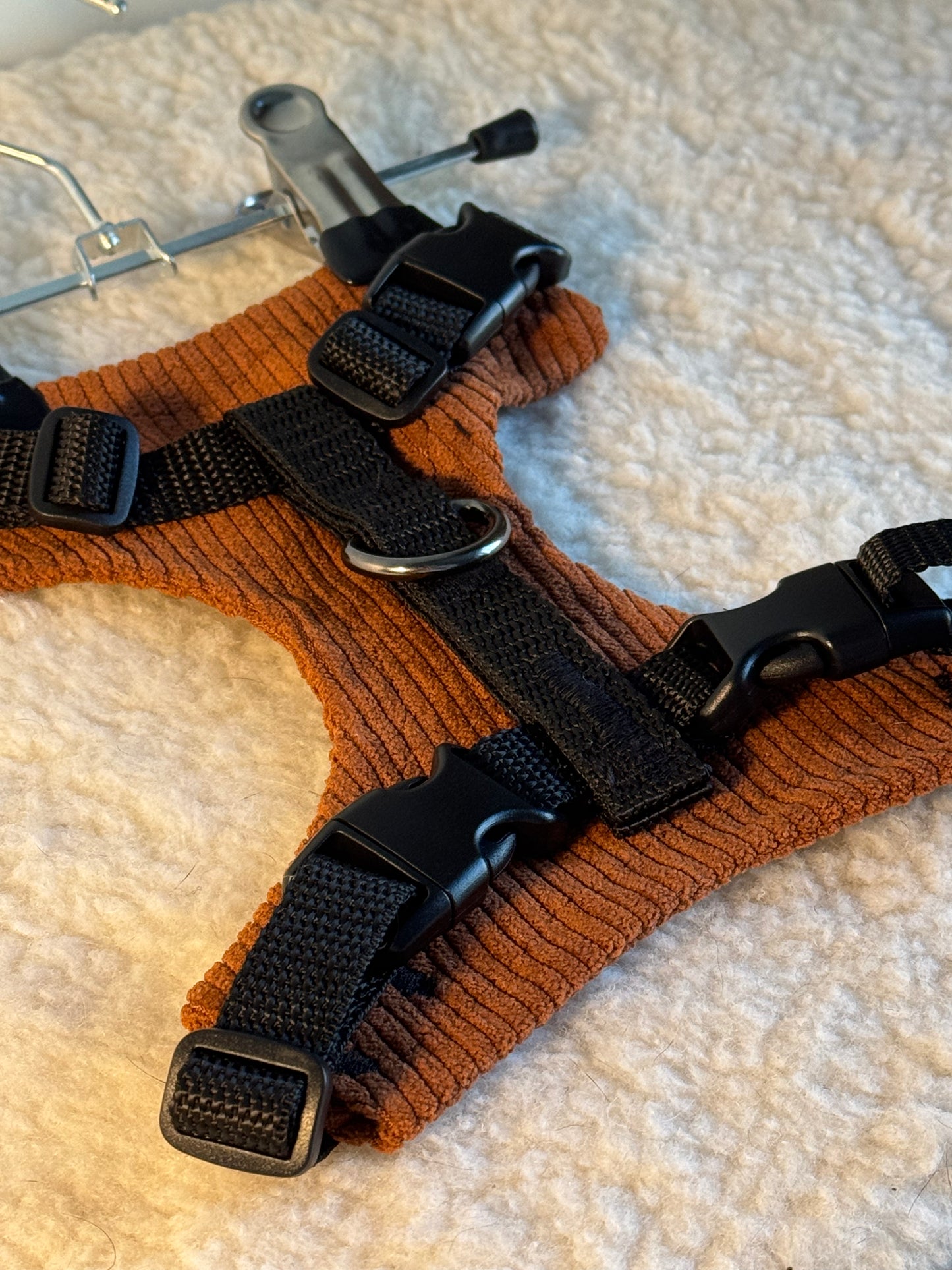 Adjustable handmade cat harness + a course on how to train your cat walk on a leash FOR FREE