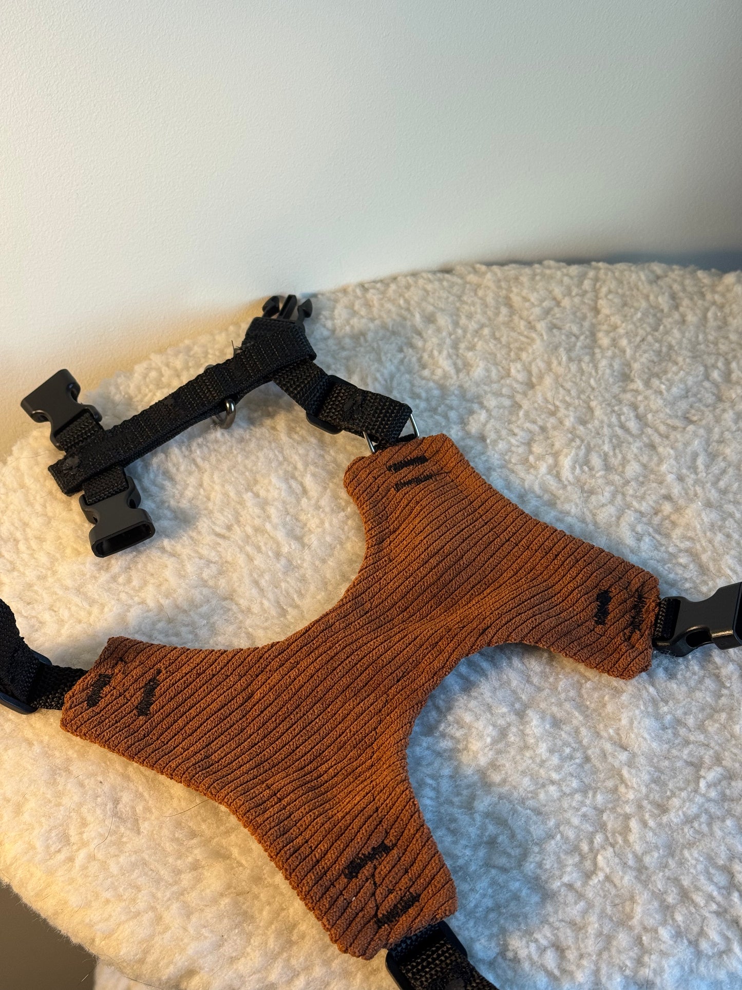 Adjustable handmade cat harness + a course on how to train your cat walk on a leash FOR FREE