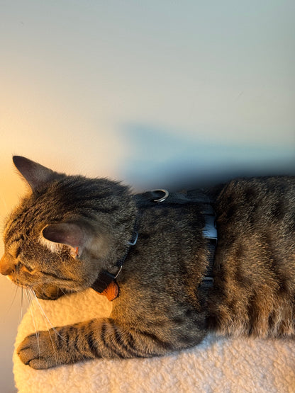 Adjustable handmade cat harness + a course on how to train your cat walk on a leash FOR FREE
