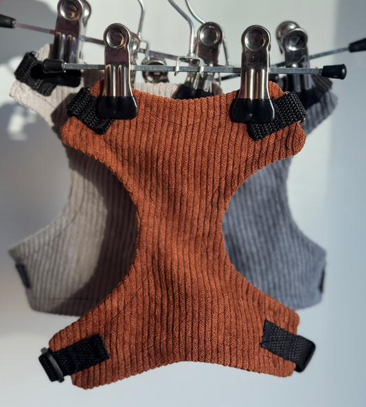 Adjustable handmade cat harness + a course on how to train your cat walk on a leash FOR FREE