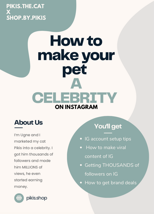 How to make your pet Instagram famous. Ultimate 34 page guide