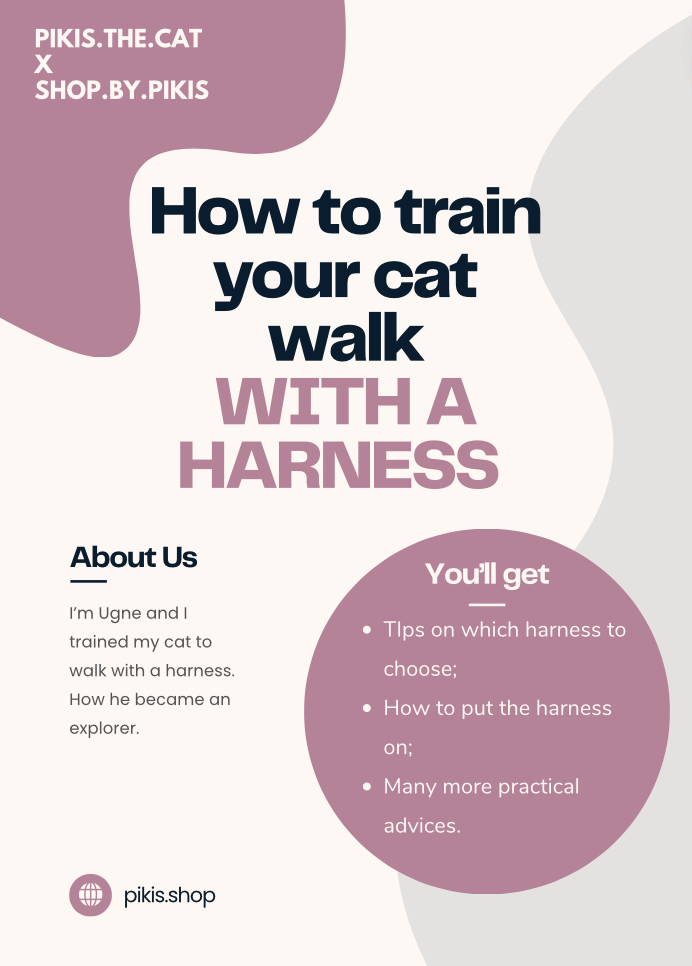 How to train your cat walk with a harness. 16 page guide